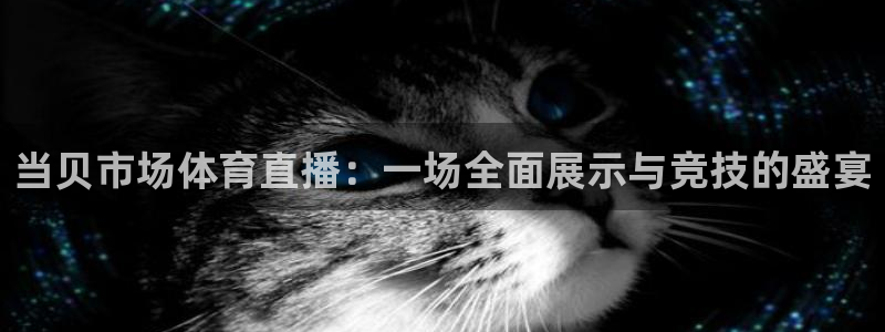 当贝市场体育直播：一场全面展示与竞技的盛宴
