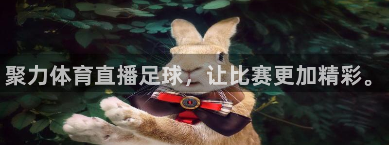 聚力体育直播足球，让比赛更加精彩。