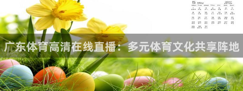 广东体育高清在线直播：多元体育文化共享阵地